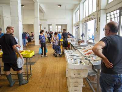 Entriamo quindi nel mercato destreggiandoci tra i banchetti sui quali sono posate le casse ricche di prodotti ittici, che hanno puntati su di loro gli occhi degli acquirenti